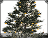 [JR] Romantic Xmas Tree