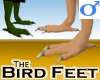 Bird Feet -Mens v1a