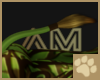 ~AM~ Dúlra Tail v3