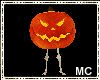 M~Wicked Pumpkin Costume