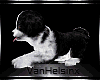 (VH) Animated Puppy  V,1