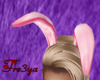 Easter Bunny Ear