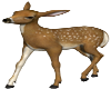 Bambi-03