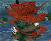 24 sea fan coral rock