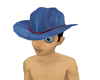 -ND- Cowboy Hat