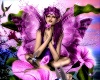 Fairy and purple Flowers