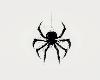 spyder