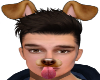 Snapchat Puppy M 2 ⚡