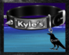 Kyle's Collar Evan