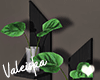 VK~Wall Plants