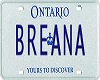 Breana Licence Plate