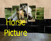 (AE)Horse Picture