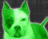 *-*Green Dog Pet