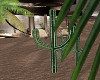 :1: Sierra Cactus