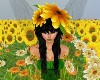 Black Sunflower Pixie