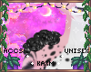 ꨄBlossom Rosesꨄ