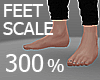Feet Scale 300%