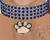 Sapphire Dog Collar M/F