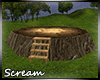 Dream Tree Stage