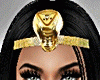 Cleopatra Bundle RLL