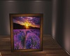 Lavender fields Picture