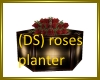 (DS) Roses planter