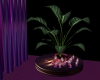 Cupido's Plants & Candle