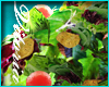 )( Garden Salad (nobowl)