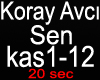 Koray Avci-Sen