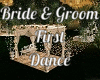 Bride & Groom 1st Dance