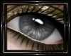 !T! Eyes | Elara G