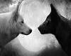 Yin Yang /Wolf