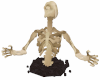 skeleton animated