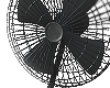 fan