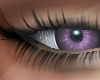 )Ѯ(Teary Eyes Purple