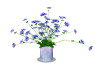 Dainty Blue Flowers