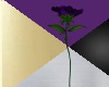 Deep Purple