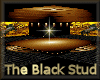 [my]The Black Stud