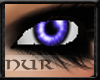 [N] Purple Eyes