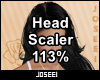 Head Scaler 113%