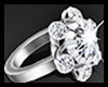 Animated Rings