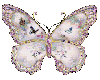 Glitter Butterflys..
