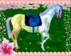 kids 40% rainbow horse