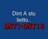 Song-M.Nardi D stu liett