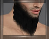 Male Beard