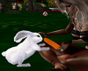 Rabbit Eating Carrot ani