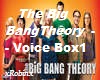 The Big Bang Theory VB1