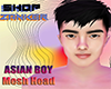 ASIAN BOY MESH HEAD