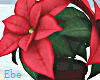 Christmas flower