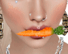 MF Bunny Carrot